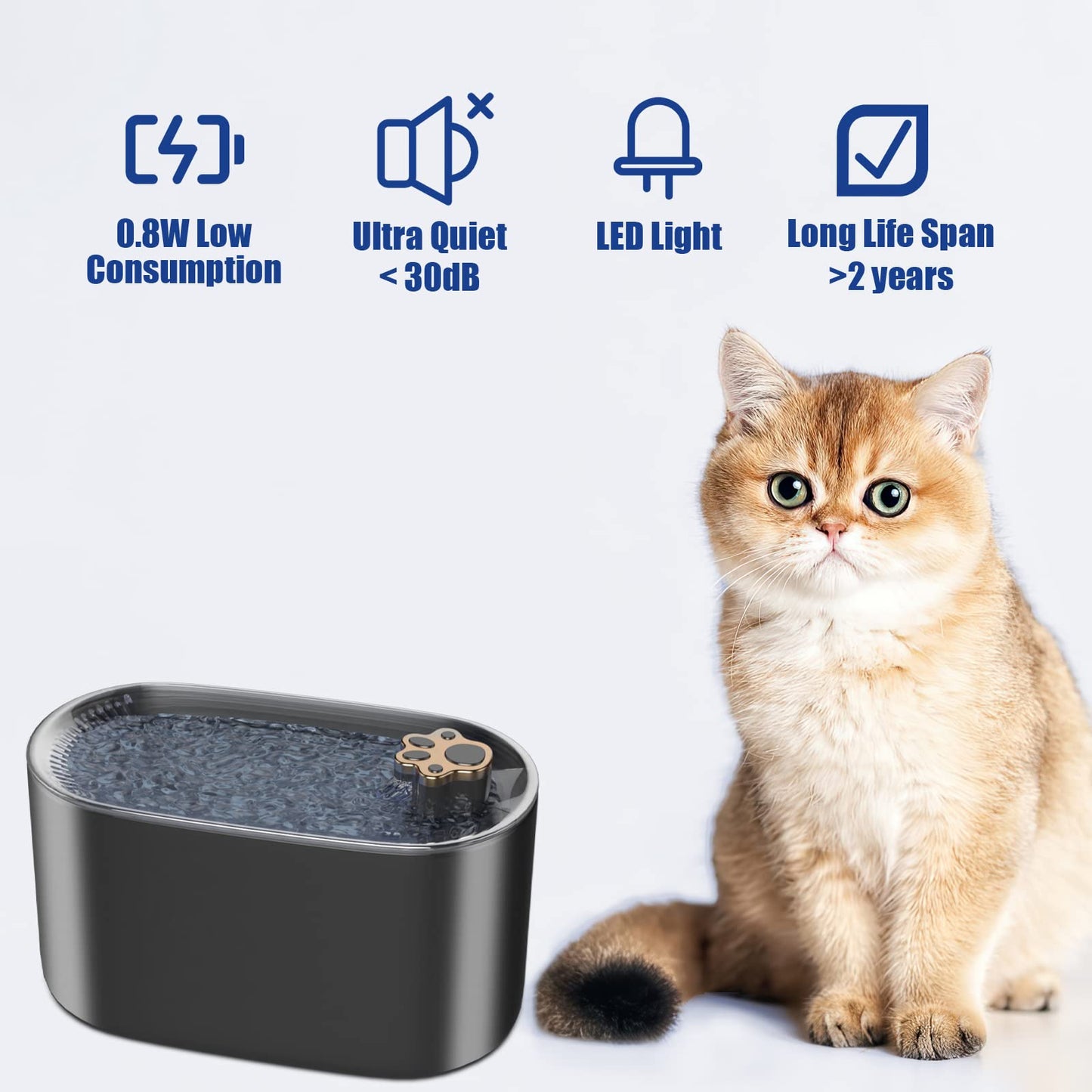 PetFlow Oasis