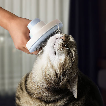 Pet Hair Brush Remover