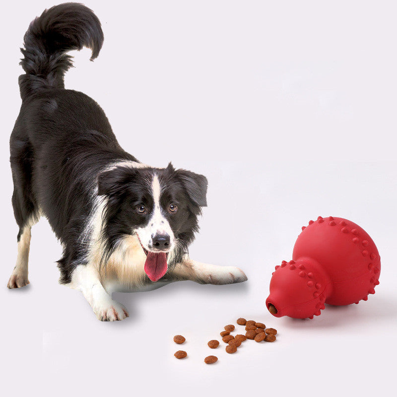 Paw-licious Treat Dispenser Toy